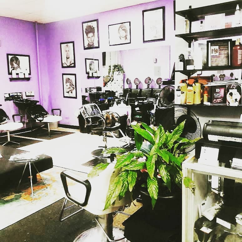 Styling stations and a plant inside the salon